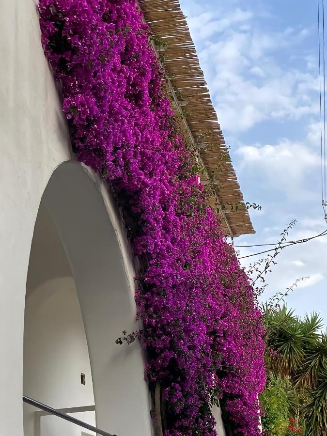 Ferienwohnung Roberhouse Tragara 37 Capri Exterior foto